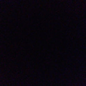 Meet your Posher, Lesila